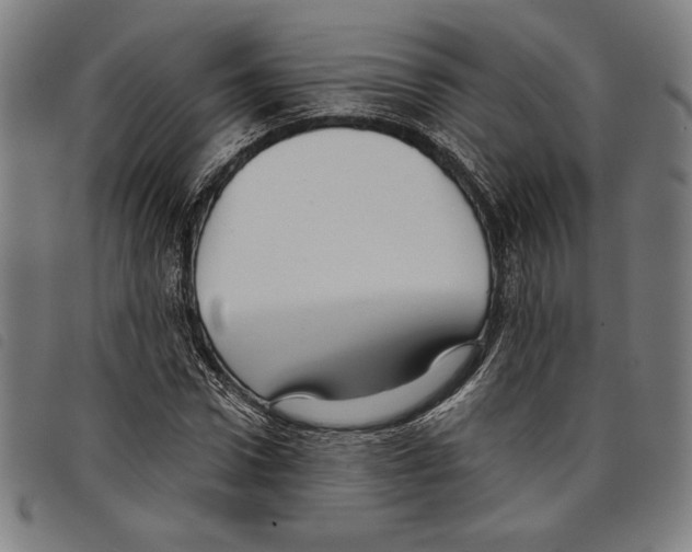 X0000097750922200804041059