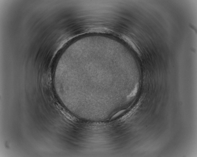 X0000097750923200804041059