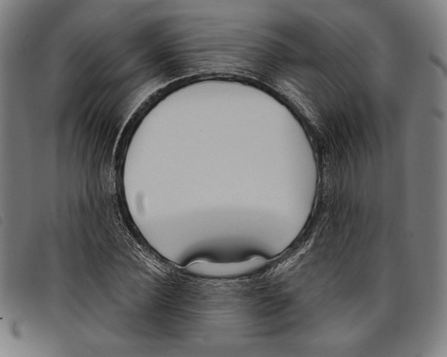 X0000097750924200804041059