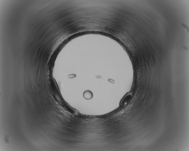 X0000097750926200804041059