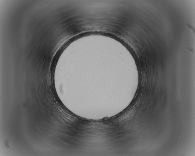 X0000097750927200804041059