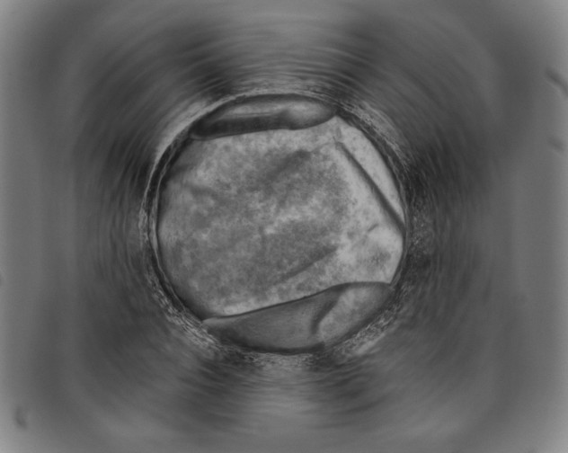 X0000097750928200804041059