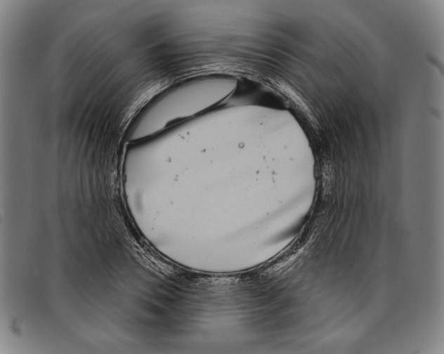 X0000097750930200804041059