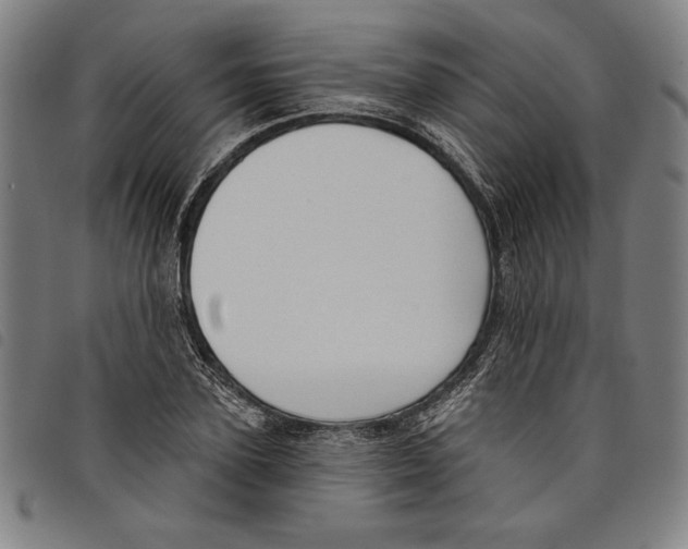 X0000097750931200804041059