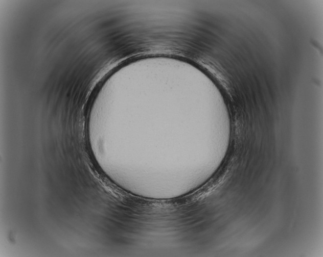 X0000097750933200804041059