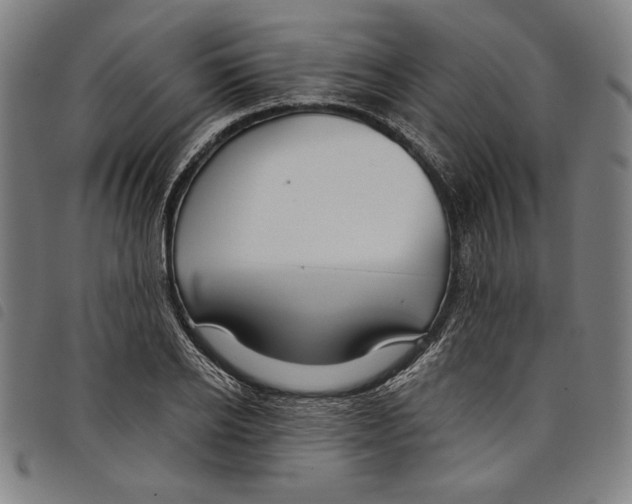 X0000097750934200804041100