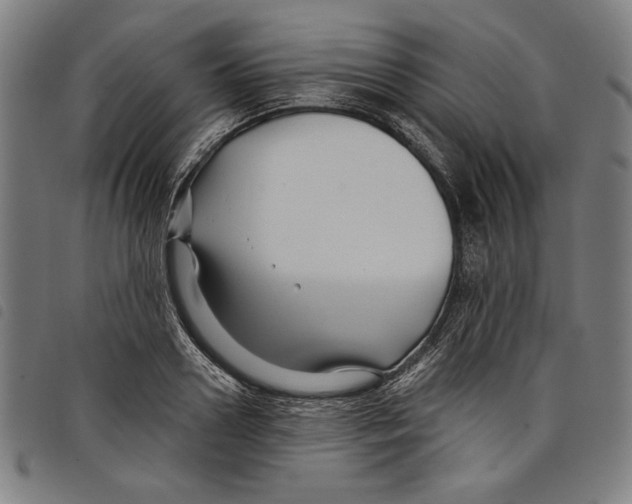 X0000097750938200804041100