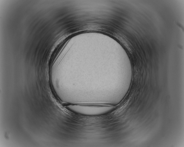 X0000097750939200804041100