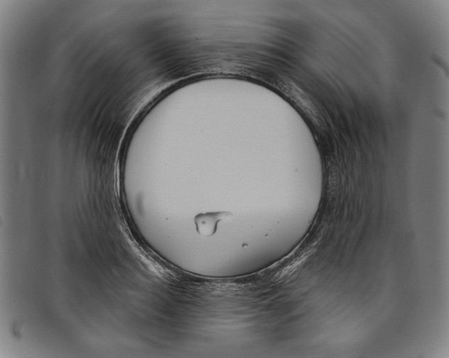 X0000097750940200804041100