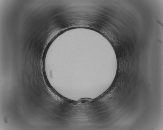 X0000097750942200804041100