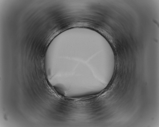 X0000097750945200804041100