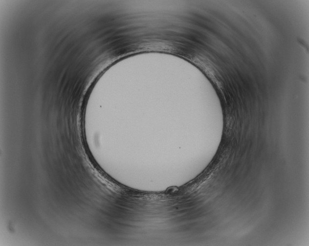 X0000097750947200804041100