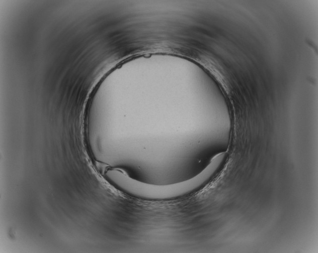 X0000097750949200804041100