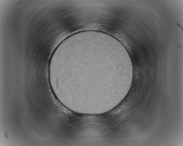 X0000097750950200804041100