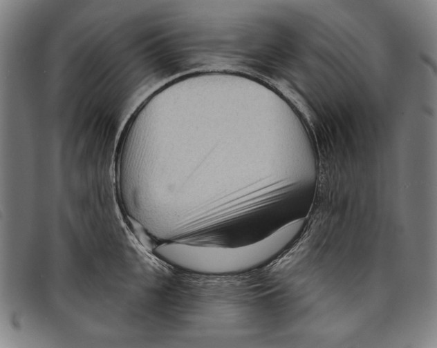 X0000097750951200804041100