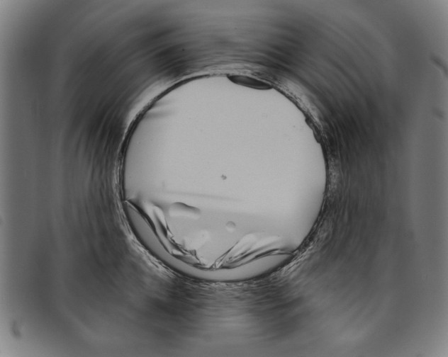 X0000097750952200804041100