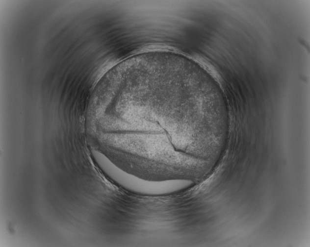 X0000097750953200804041100