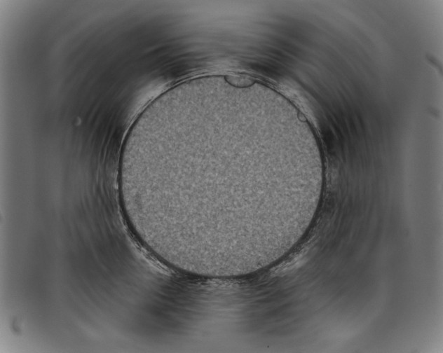 X0000097750954200804041100