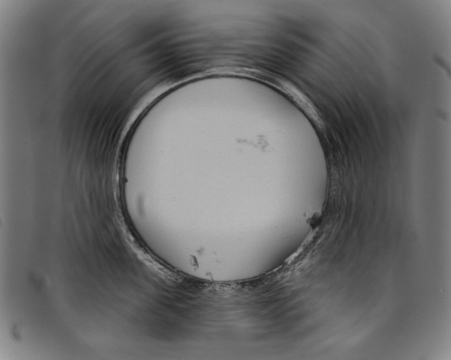 X0000097750955200804041100