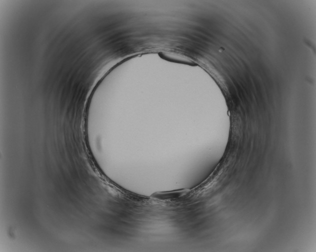 X0000097750956200804041100