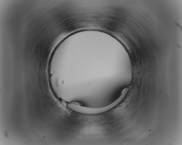 X0000097750959200804041100