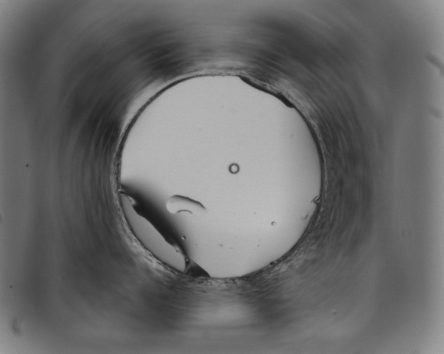 X0000097750960200804041100