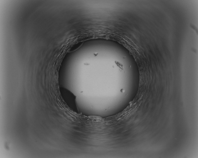 X0000097750961200804041059