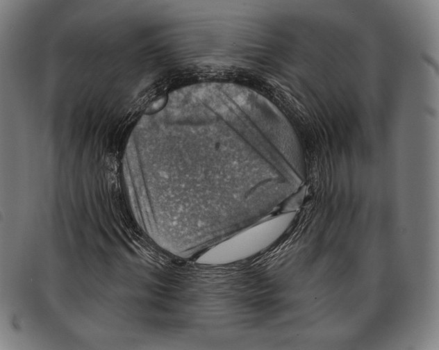 X0000097750964200804041059