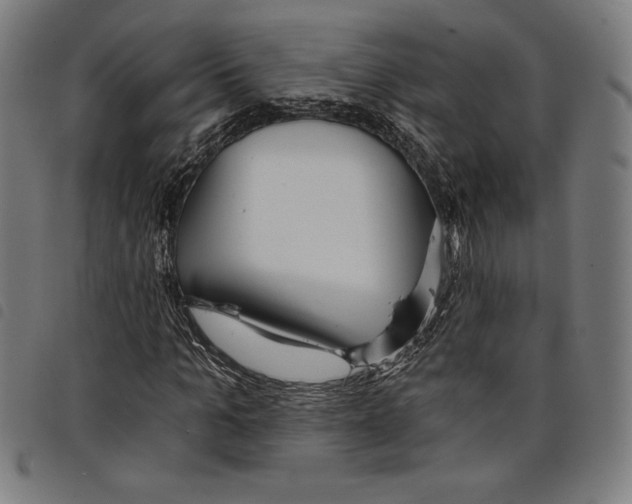 X0000097750965200804041059