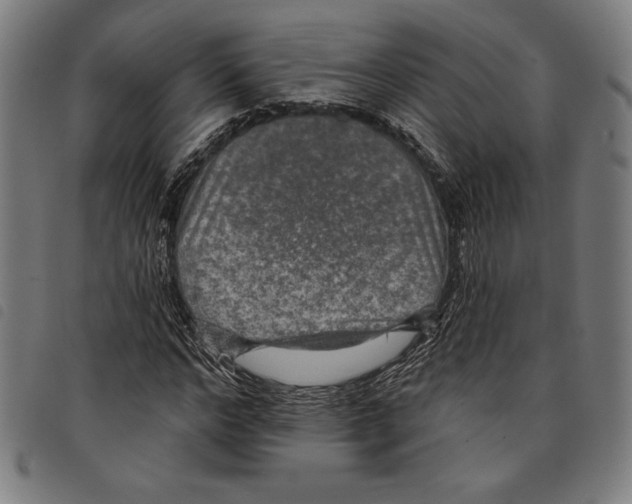 X0000097750968200804041059