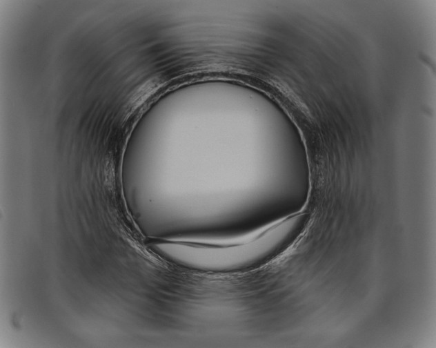 X0000097750969200804041059