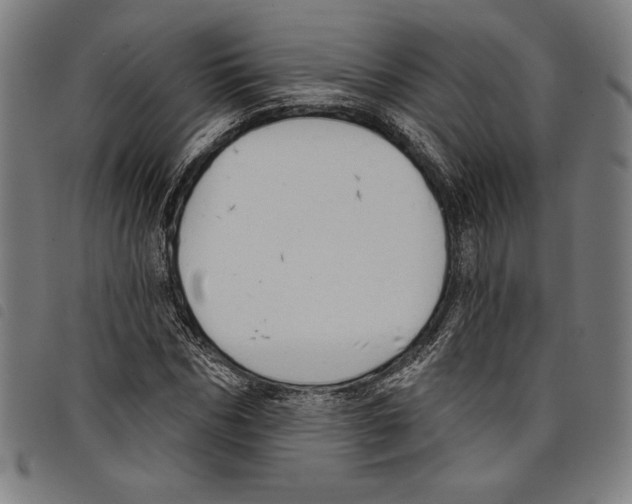 X0000097750970200804041059