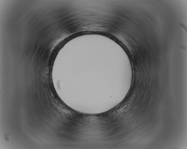 X0000097750971200804041059