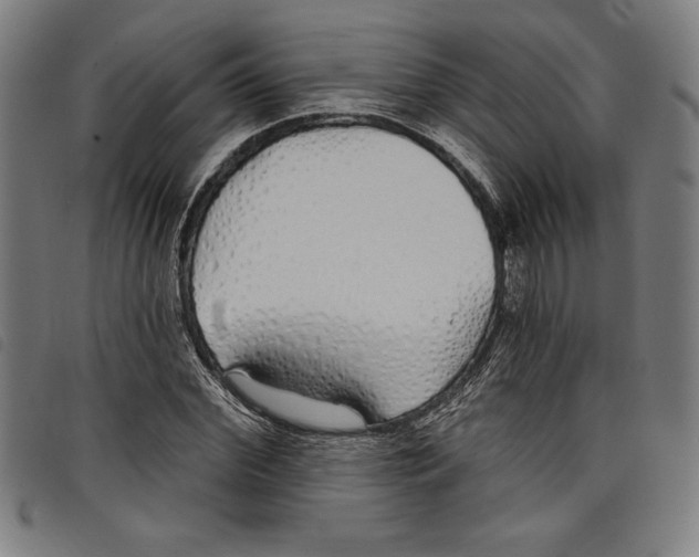 X0000097750972200804041059