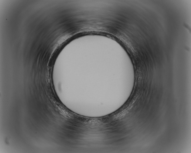 X0000097750974200804041059