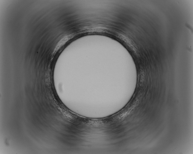 X0000097750978200804041059