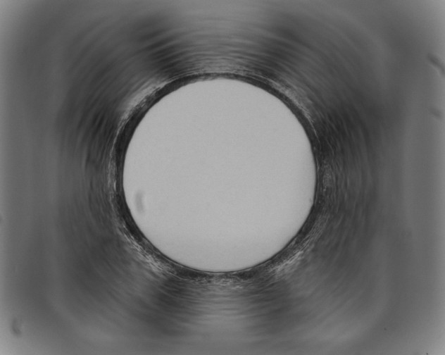 X0000097750979200804041059