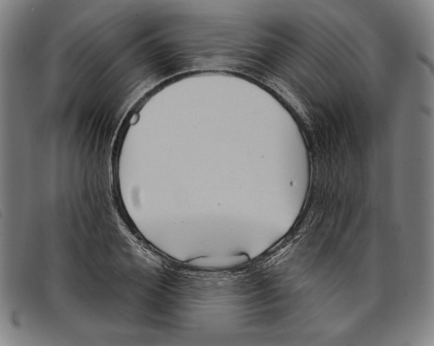 X0000097750980200804041059