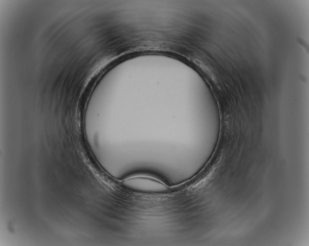 X0000097750981200804041059