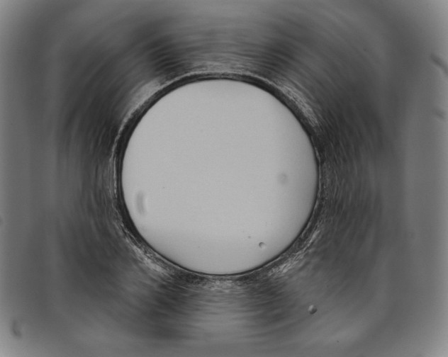 X0000097750982200804041059