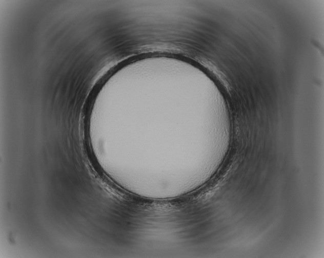 X0000097750983200804041059