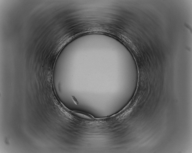 X0000097750985200804041059