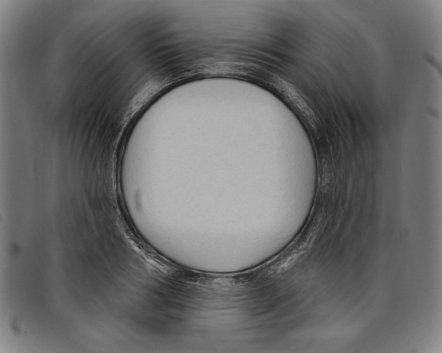 X0000097750986200804041059