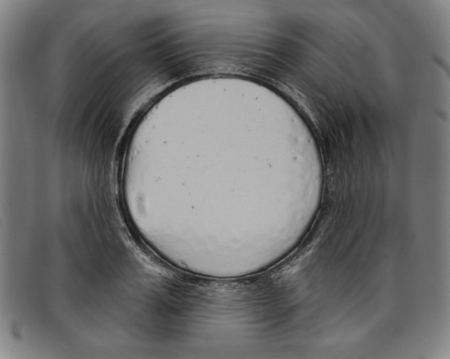 X0000097750987200804041059