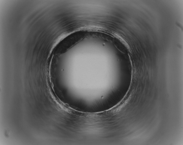 X0000097750989200804041059