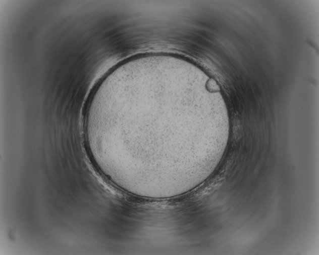 X0000097750990200804041059