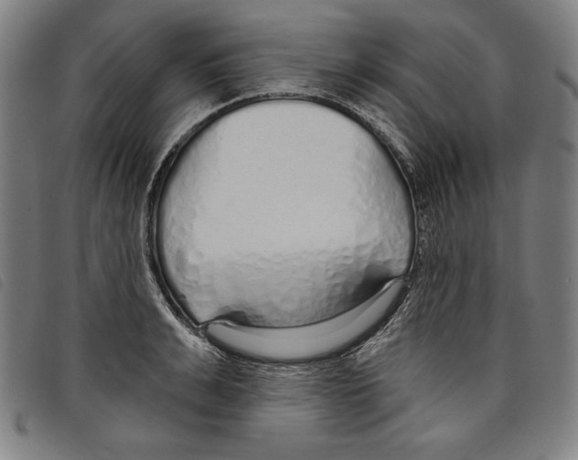 X0000097750991200804041059