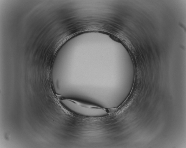 X0000097750993200804041059