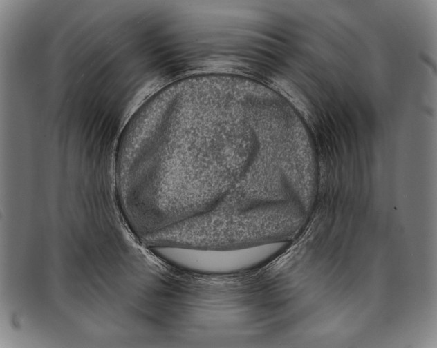 X0000097750994200804041059