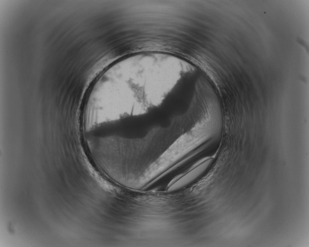 X0000097750995200804041059